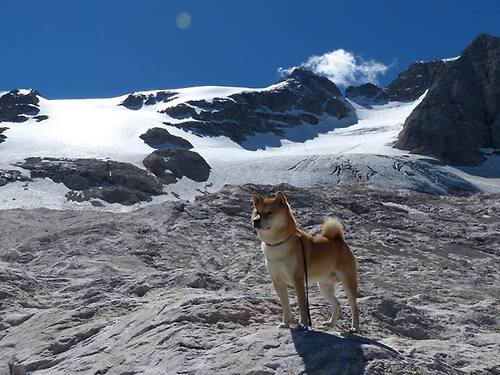 开云体育在线入口-NBA球队替补席表现分析,nba球队替补场均得分排名