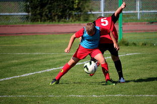 开云体育链接-中国足球俱乐部运营效率调查，中国足球俱乐部运营效率调查问卷