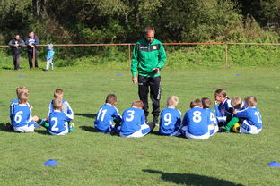 开云体育官网登入-国足对不同战术体系适应能力评估，国足体能与技术分析