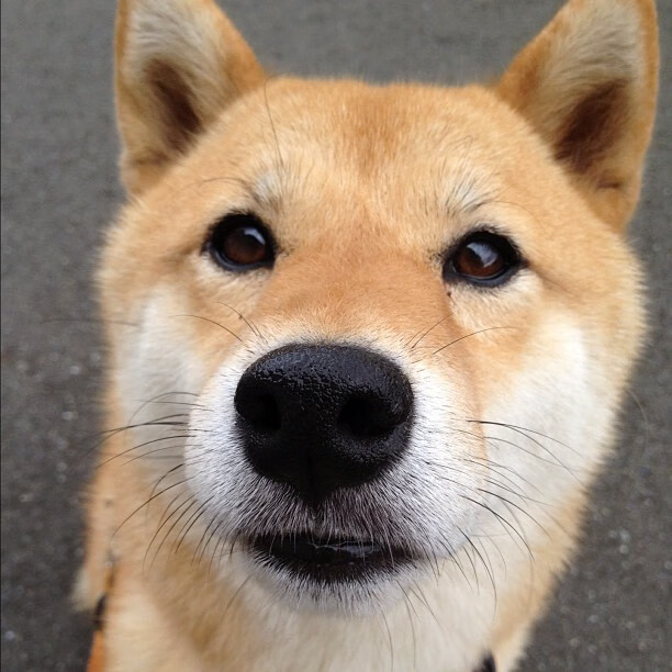 开云体育在线下载-中国女篮主教练谈球队打法演变，中国女篮的主教练怎么会断线