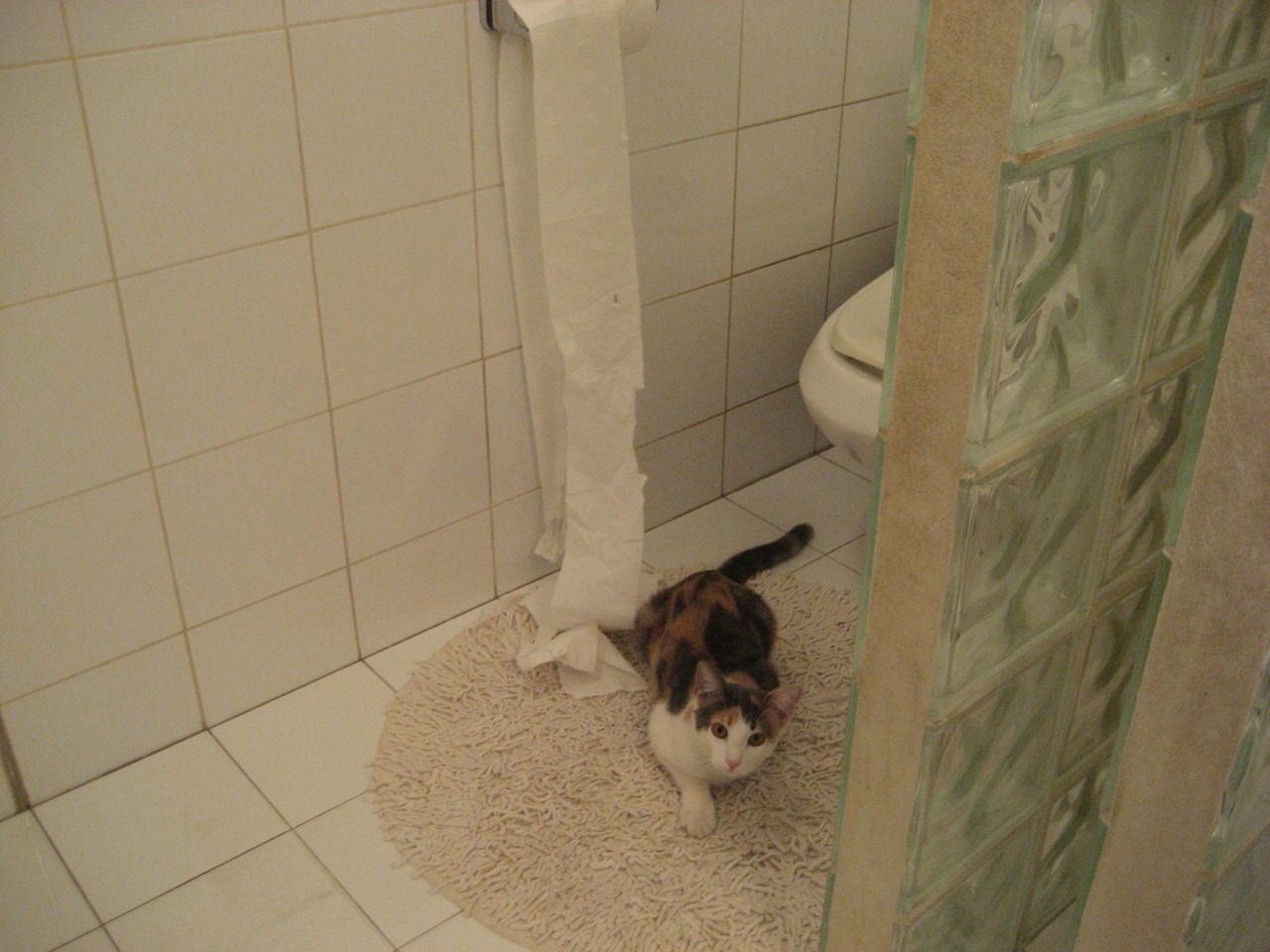 开云体育官网-中国男篮丰富挡拆组合强化进攻创造力,中国男篮最新规则