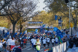 开云体育娱乐-马拉松跑者分享科学备赛经验，马拉松跑步动作科学训练