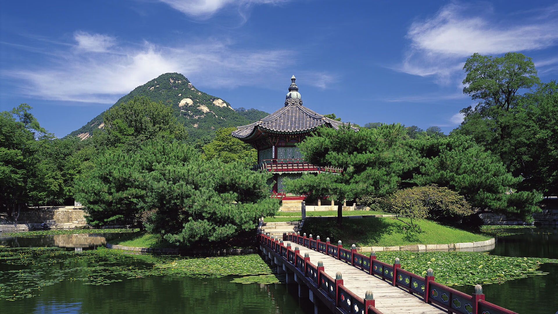 开云体育官网在线-女子篮球提升快速反击效率增强比赛主动性，女子篮球怎么打