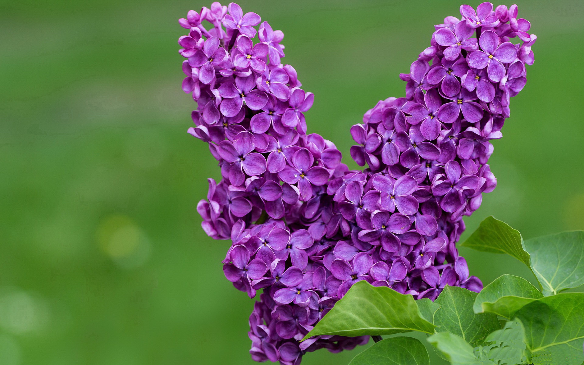 开云体育登录入口-职业联赛推进智慧球场建设实现多系统智能联动，智能球场方案介绍