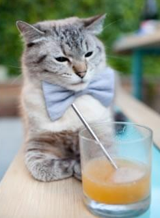 开云在线登入-马尔尚冲刺阶段技压群雄，马尔杜尚