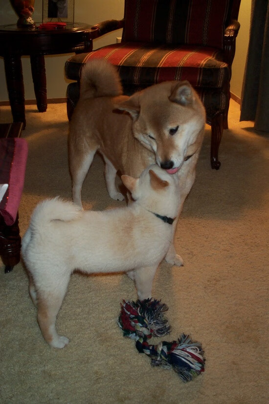 开云体育app在线-三场压轴大战意外不断，德甲积分榜风云突变，德甲2020积分