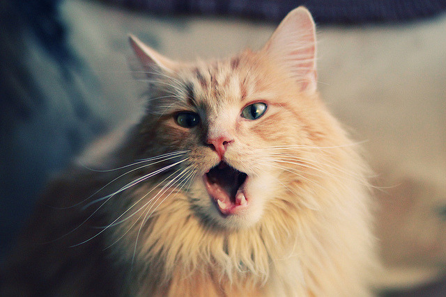 开云体育在线入口-中国篮球俱乐部在城市社区治理中的参与方式分析,篮球俱乐部归什么部门管理