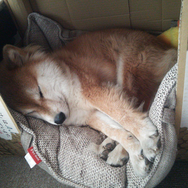 开云体育-中国篮球运动中的跨学科研究发展趋势分析,篮球转跨