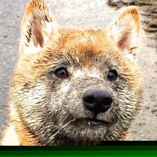 开云体育登录入口-五大联赛冬窗重点转会一览，五大联赛冬窗转会汇总