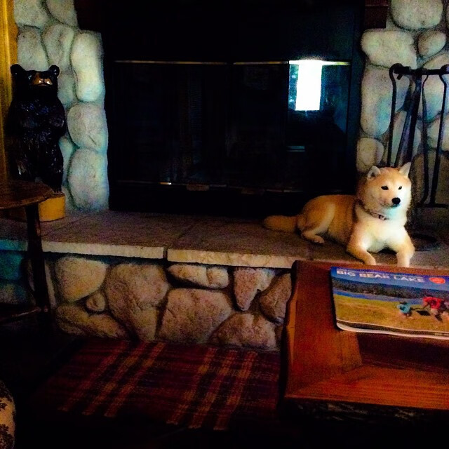 开云体育官网-听我说完！赵睿的怒训瞬间成段子